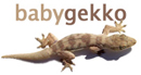 Gekko Web Builder Hosting