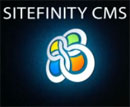 Sitefinity 4 Hosting