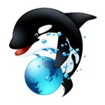 BoonEx Orca Hosting