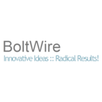 BlotWire Hosting