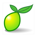 LimeSurvey Hosting